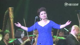 花腔视频,探索视觉艺术与音乐韵律的完美融合