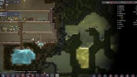 洗浴服视频,从舒适到潮流的视觉之旅